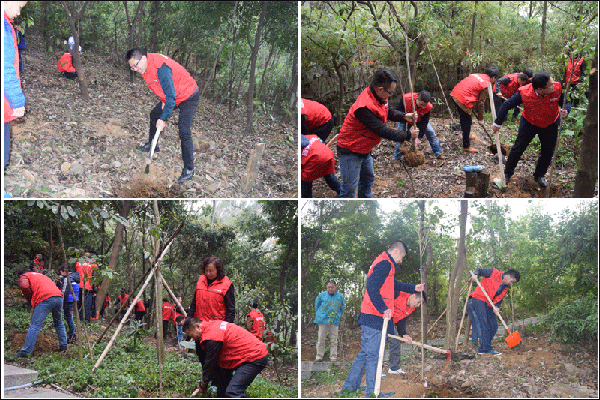 新美裝飾-新美動(dòng)態(tài)6 (1).png