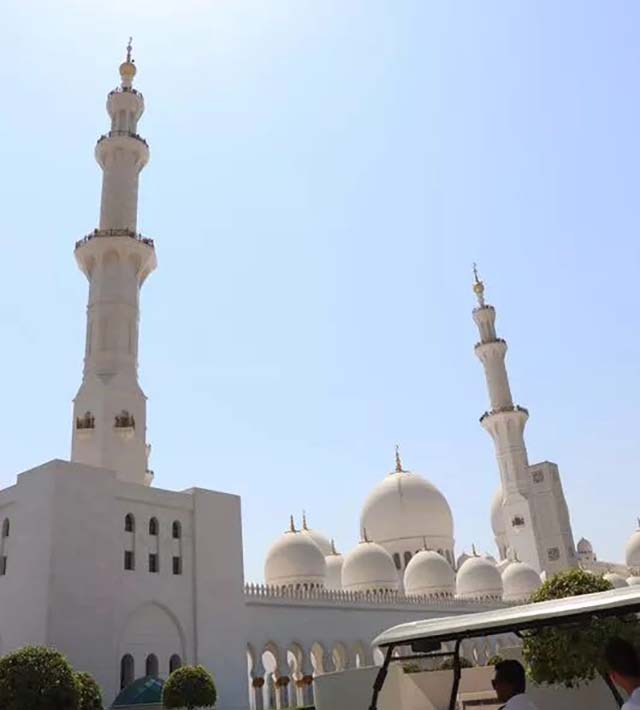 1539072996693010892.jpg IMG_6986.jpg